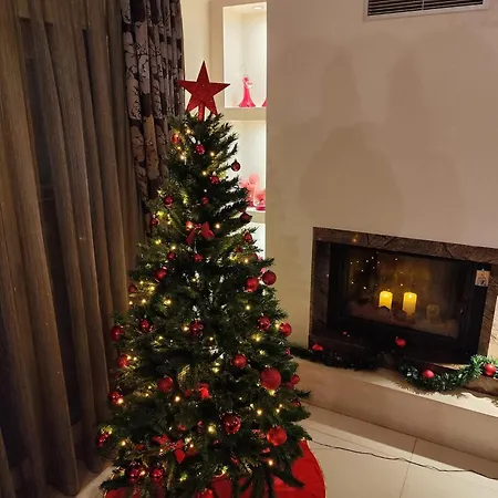 Mary's Modern And Elegant