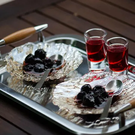 Mary's Modern And Elegant